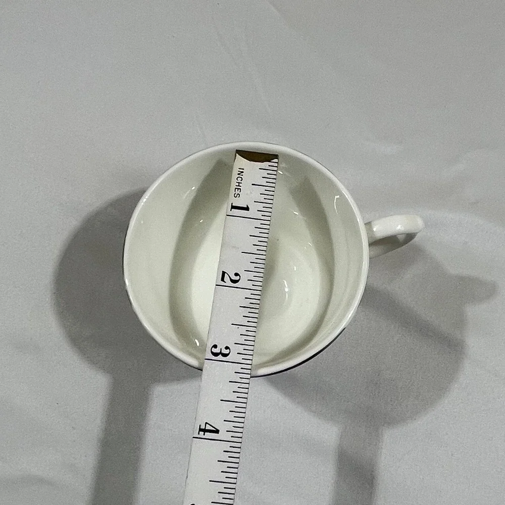 Sadler Tea Cup Saucer Set Multicolor Floral Wellington Bone China